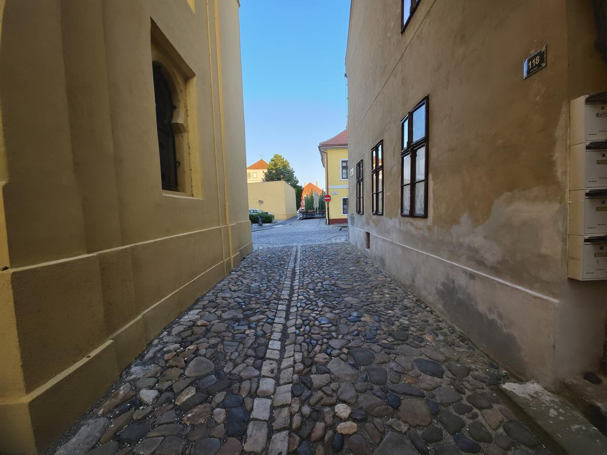 Synagoga Žatec