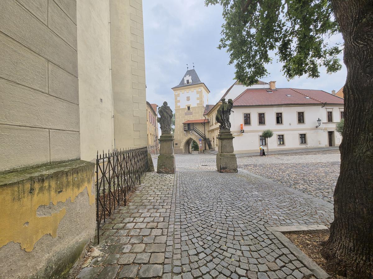Chrám Nanebevzetí Panny Marie Žatec